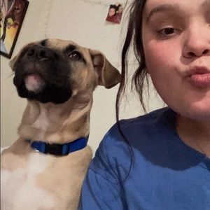 Meet your Posher, Isabella